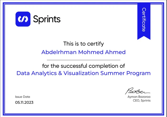 Data Analytics & Visualization Summer Program